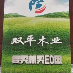 榮譽(yù)證書(shū)二